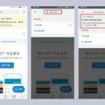 Imtoken 专业版（Imtoken 专业版的深度解析与应用探讨）